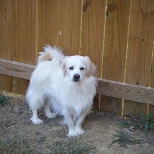 Meet your Posher, Beverly